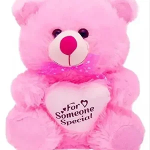 Pink Soft Teddy Bear